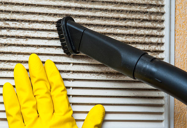 Best Home Air Vent Cleaning  in Little Round Lake, WI